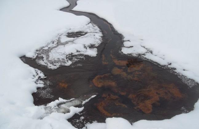 Występowanie wypływów wód podziemnych na obszarze Welskiego Parku Krajobrazowego 17 Biorąc pod uwagę kierunek siły hydrodynamicznej na terenie Welskiego Parku Krajobrazowego, dominują wypływy