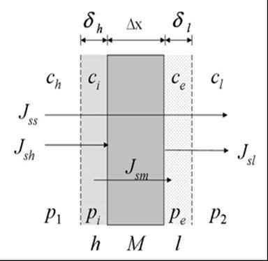 M. Jarzyńska: The Practical Kedem-Katchalsky equations and their modification, Central European Journal of Physics CEJP 5(4) 2007 (lista filadelfijska); Brak mieszania roztworów, (np.