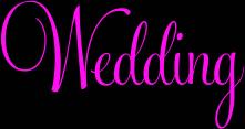 Gabrielle Wojcik and Wyman Dea Kingsley will be exchanging their Wedding Vows on Sunday 22nd April 2012, at Bram Leigh Receptions, Croydon.