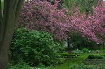 Hortus Plantarum Medicinarum Facultatis Pharmaceuticae Universitas Medicinalis Lodziensis