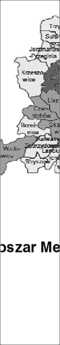 Polaryzacja strukturalna Krakowskiego Obszaru Metropolitalnego 131 Graficzną ilustracją przedstawionej klasyfikacji jest rysunek 3. Krakowski Obszar Metropolitalny Rys. 3. Rozkład syntetycznego wskaźnika rozwoju gmin KOM w 2009 r.