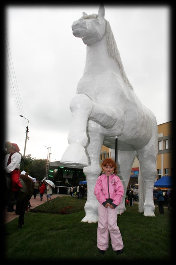 Dni Kobyłki 2009 były kulminacyjnym punktem obchodów Roku Jubileuszowego.