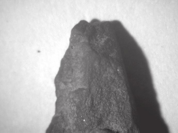 10) Fig. 11. Ludowice site 6, Wąbrzeźno comm. Use-wear traces (?) observed on quartz porphyry microlith (x10, ob.
