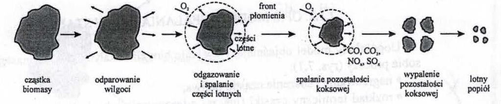 Drewno jako źródło