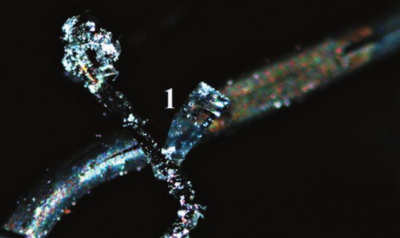 Glass fragments as important criminalistic evidence case studies 11