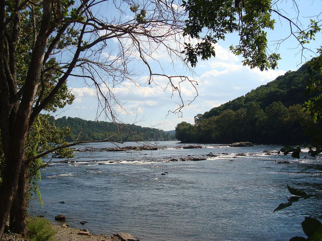 Drzewa nad wodą Bogusław Jeznach, 26.09.2017 21:09 Główne źródło inspiracji - New River Valley, Virginia, USA Wychowując się i dorastając w Szanghaju, Z. L.