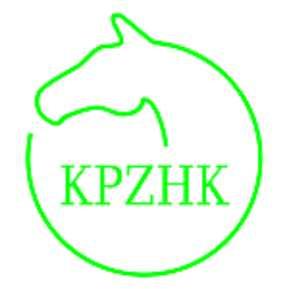 kom:501-19-29-79 kierzekk@o2.pl, cheval-tech.pl 2013-09-07 dzień pierwszy (sobota) Konkurs nr: 7 Wyniki: Skoki luzem. Miejsce nrpzj/kraj/płeć/rocznik/maść/ojciec/matka/o.
