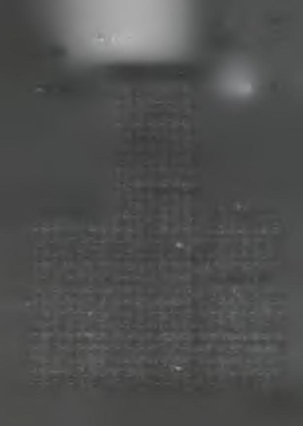 aiw szym d o se m in a riu m d u chow nego w G ó rn ej G rupie.