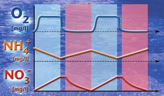 Metoda pomiarowa do kontroli usuwania azotu Powszechna dzisiaj metoda pomiarowa jest skupiona na dostępności tlenu. Tlen potrzebny jest do procesu nitryfikacji, ale zapobiega denitryfikacji.
