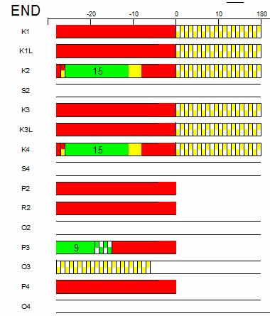 Bolesława Chrobrego 2; 44 200 Rybnik Rysunek 5 paski programów POCZĄTKOWY, KONCOWY ul.