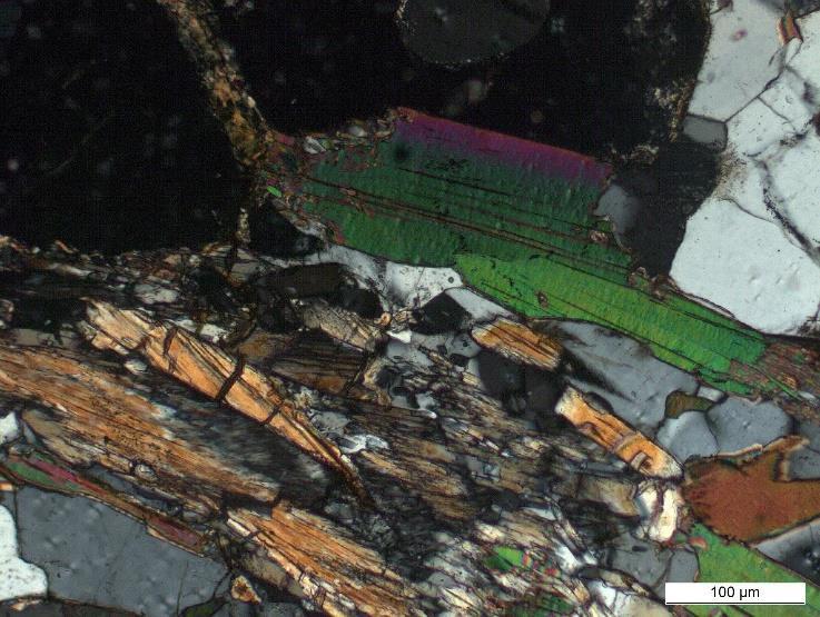 17 Huber M., et al.