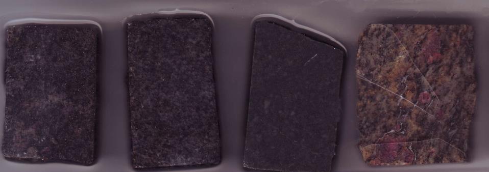 Makrofotografie typowych skał z okolic Murmańska (a: granitognejs (74Mu00), b: amfibolit (73Mu00), c: gnejs z granatami (75Mu00), d: granulit (01Mu01), e: żyła kwarcowo-turmalinowa (06Mu15), f, g: