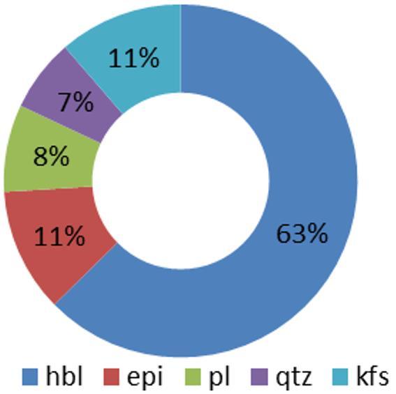 22 Huber M., et al. Możliwości rewitalizacji I wartość dydaktyczno-naukowa hałdy w Rudzie Sląskiej -Wirek równierz pojedyncze kryształy epidotu i chlorytów.