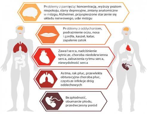 mierzyli zanieczyszczenie powietrza py³ami zawieszonymi PM 10 na wybranym kêpiñskim osiedlu domów jednorodzinnych. Okazuje siê, e panowa³y tam warunki niesprzyjaj¹ce zdrowiu a nawet yciu.