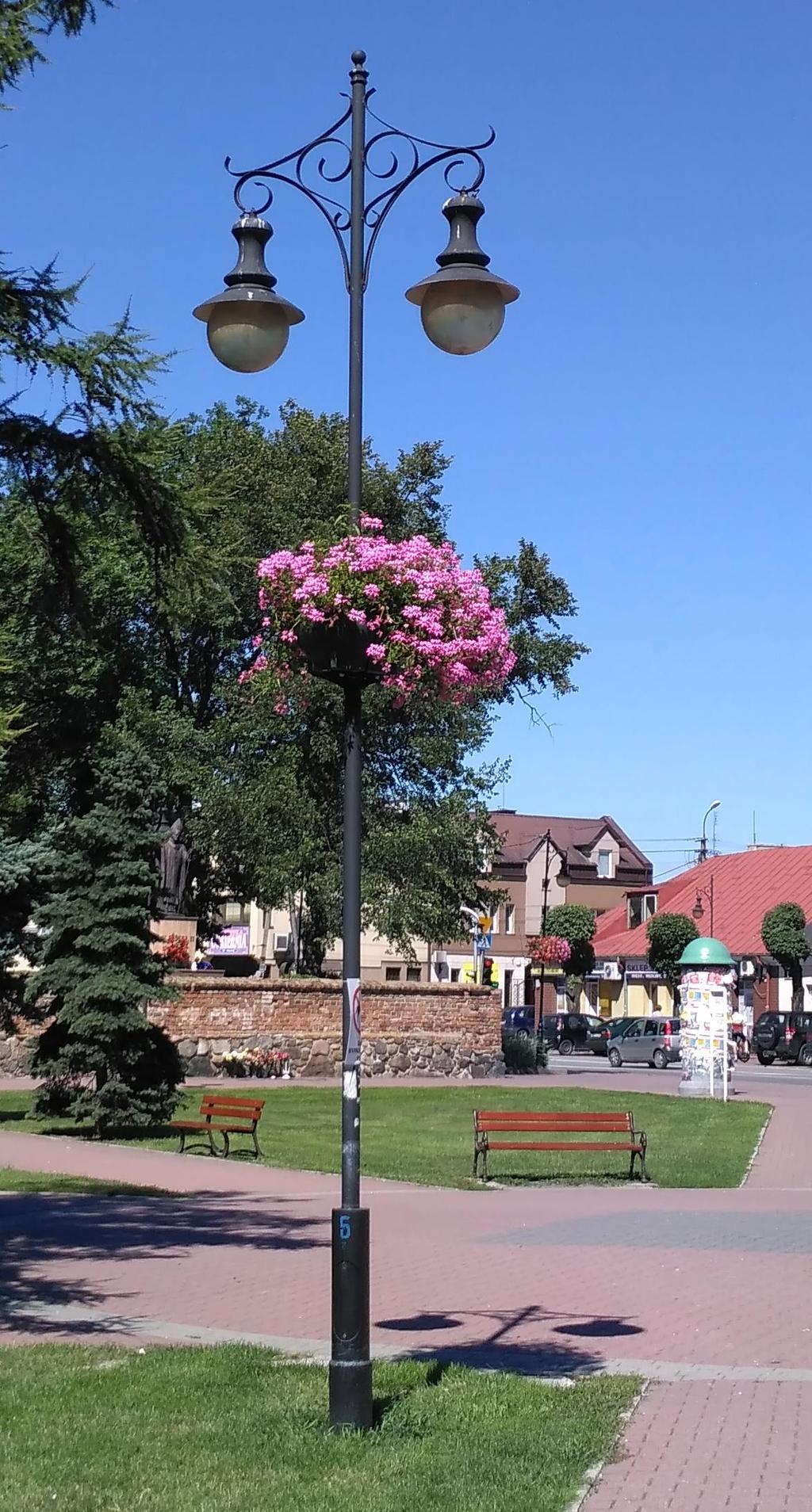 oraz osi widokowych, zachowania i bieżącej konserwacji obiektów małej architektury o znaczeniu historycznym,