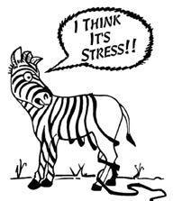 Stres - Co to jest, i z sk d wiem, e go czuj? Myślę że to stres Wszyscy słyszeliśmy o stresie. Ma wpływ na nas wszystkich w pewnym etapie naszego życia i może się różnie objawiać. Co to jest stres?