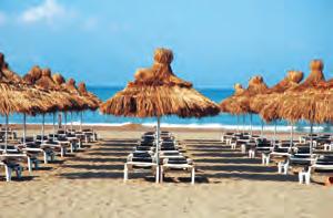 koszykówka, siatkówka plażowa, miniboisko do piłki nożnej, aerobik, dyskoteka, kino.
