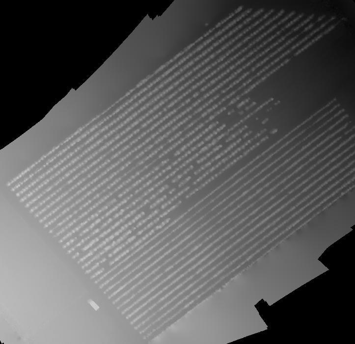 SAD GRUSZE NUMERYCZNY MODEL