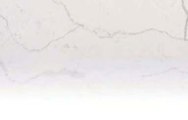 PP01 Max White PP02