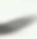 : uśmiechnięty garnuszek,