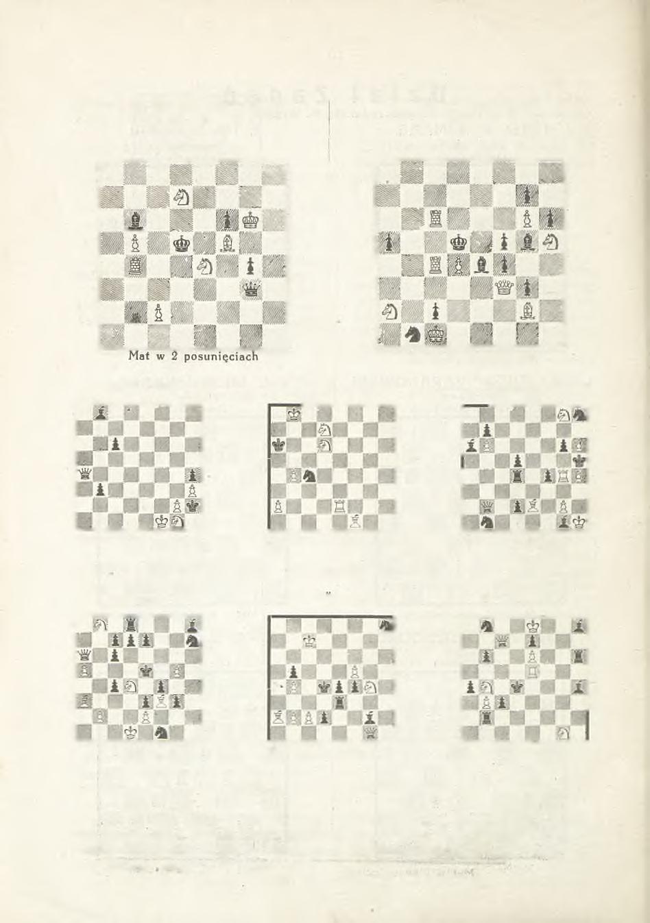 14 L. 143. fl. F. JANOVCIC R um unja (O ryginalne) L. 144. C. SCHULZ N iem cy ( O ryginalne) Mat w 2 posunięciach L: 145 V.