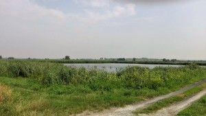 .pl https://www..pl Wieś Wierzbica znajduje się tuż przy granicy. Za jeziorem zaczyna się Ukraina.