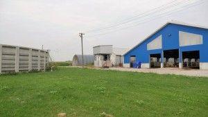 .pl https://www..pl ginekologicznych, które wykonuję mówi Arkadiusz Biegaj. Istotne jest też to, że stosując separat, ograniczamy do minimum ilość mikroorganizmów wprowadzonych do obory.