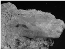 Matryca nieorganiczna: Koncentrat apatytowy, CTA-AC-1 atestowane zawartości: Ba, Ca, Ce, Co, Cu, Eu, Gd, Hf, La, Lu, Mn, Na, Nd, Sc, Si, Sm, Ta, Tb, Th, Ti, U, V, Y, Yb, Zn oraz: popiół lotny, osad