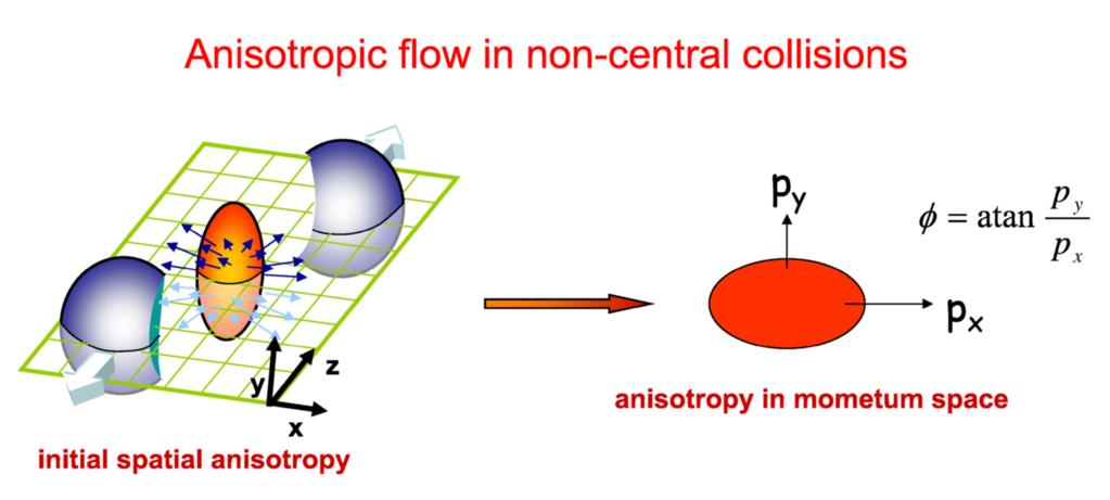 py =atan px większe przyspieszenie w kierunku in-plane Rescatterings (pressure gradients) anisotropy in momentum space Rys. Początkowa asym.