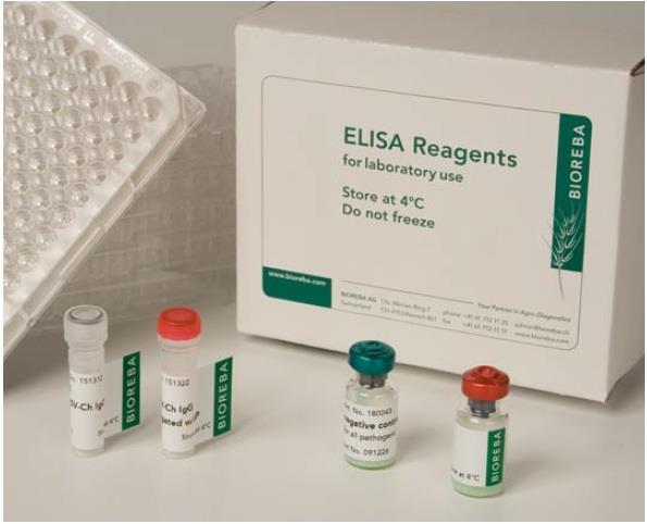 Diagnostyka Test biologiczny Test ELISA