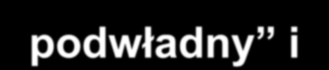 Poprawność motywacyjna Poprawność motywacyjna (z ang.