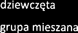 a pytani jaki płci były t osoby ankitowani w 34% odpowidzili, ż były to dziwczęta. 68% ankitowanych odpowidziało, ż była to grupa miszana.