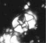 426, 2007
