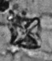 III