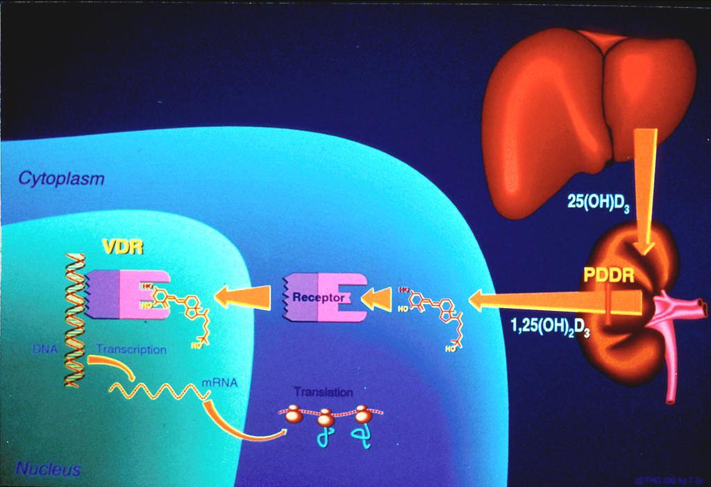 Ramagopalan SV et al.