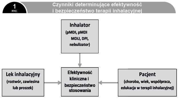 Zasady dopuszczania do obrotu inhalacyjnych produktów leczniczych opierają się o przepisy prawne poszczególnych krajów oraz o Dyrektywę Unii Europejskiej nr 2001/83/EC, zmodyfikowaną w 2009 roku (dla