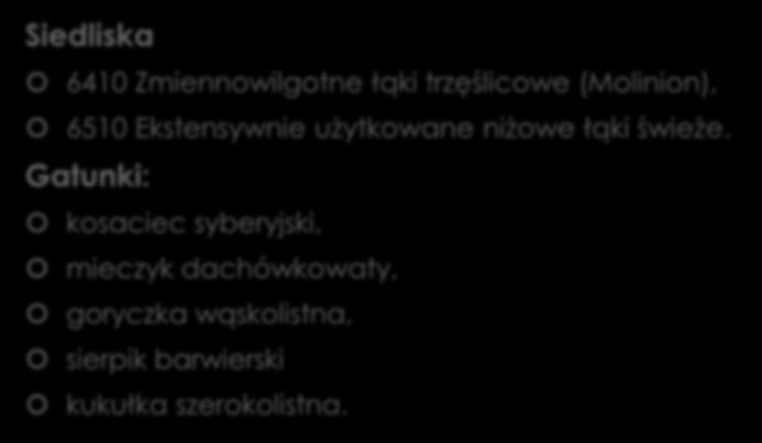 Przedmiot ochrony Natura 2000: Siedliska 6410 Zmiennowilgotne łąki trzęślicowe (Molinion), 6510 Ekstensywnie użytkowane niżowe