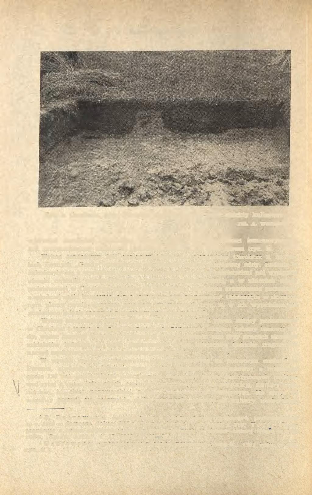 426 ELŻBIETA DĄBROWSKA Ryc. 3. Chroberz, pow. Pińczów, stan. 2. Domniemane obiekty kulturowe Fot. A.