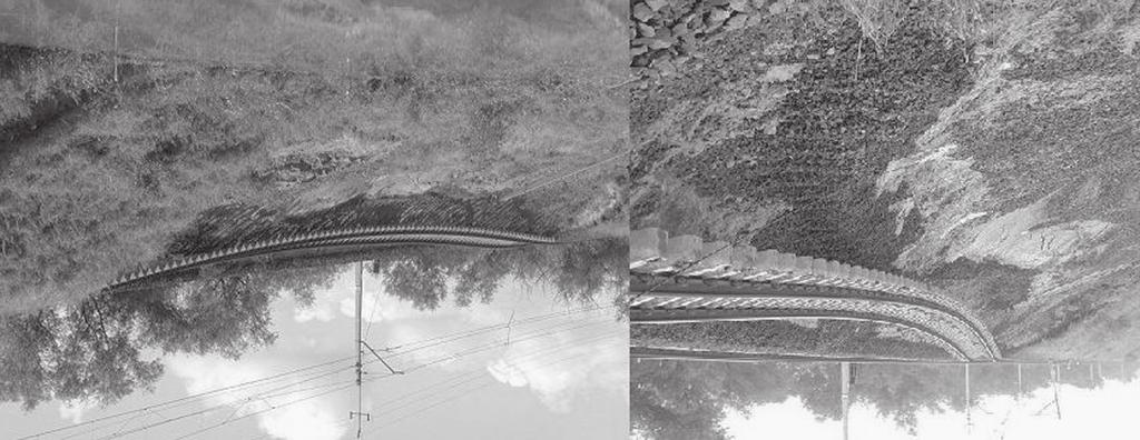444 Geotechnika i Budownictwo Specjalne ZSMGiG XXIX Doprowadziæ to mo e do utraty stateczno ci nasypów. W obrêbie nasypów czêsto obserwowaæ mo na zsuwy p³ytkich, wierzchnich warstw (fot.