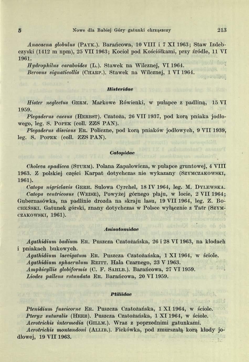 5 Nowe dla Babiej Góry gatunki chrząszczy 2 1 3 Anacaena globulus (Payk.).
