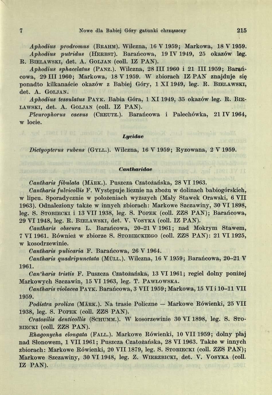 7 Nowe dla Babiej Góry gatunki chrząszczy 215 Aphodius prodromus ( B r a h m ). Wilczna, 16 V 1959; Markowa, 18 V 1959. Aphodius putridus (H e r b s t ).