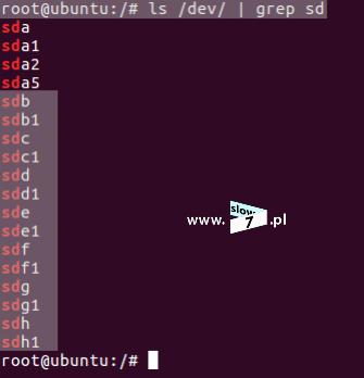 już polecenie: ls /dev/ grep sd - jak widać i