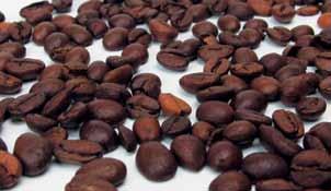 ARTYKUŁY SPOŻYWCZE Kawa zbożowa 245943 Magne Instant 100 g 23% Kawa