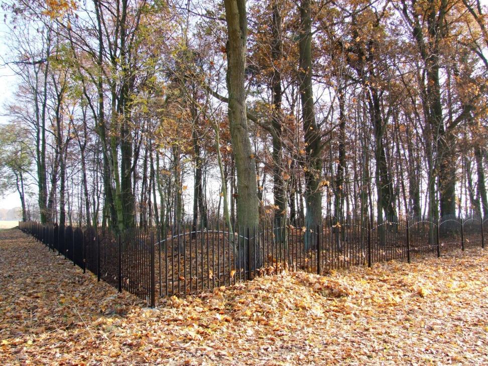 Ogrodzenie cmentarza w Bzinicy Nowej 42 Wykonano ogrodzenie i oznakowanie cmentarza ewangelickoaugsburskiego w Bzinicy Nowej historycznej ozdoby wioski, za kwotę 40.000 zł.