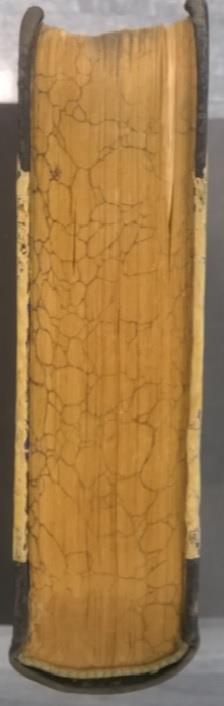 wieku 5.