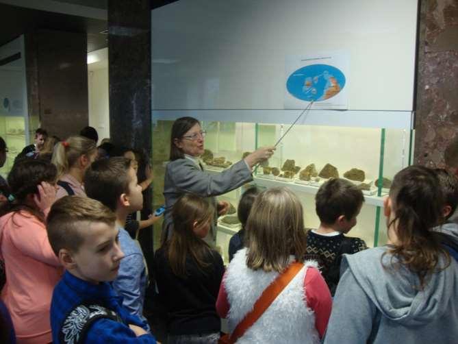 Zwiedzanie wystawy geologicznej w muzeum Oddziału