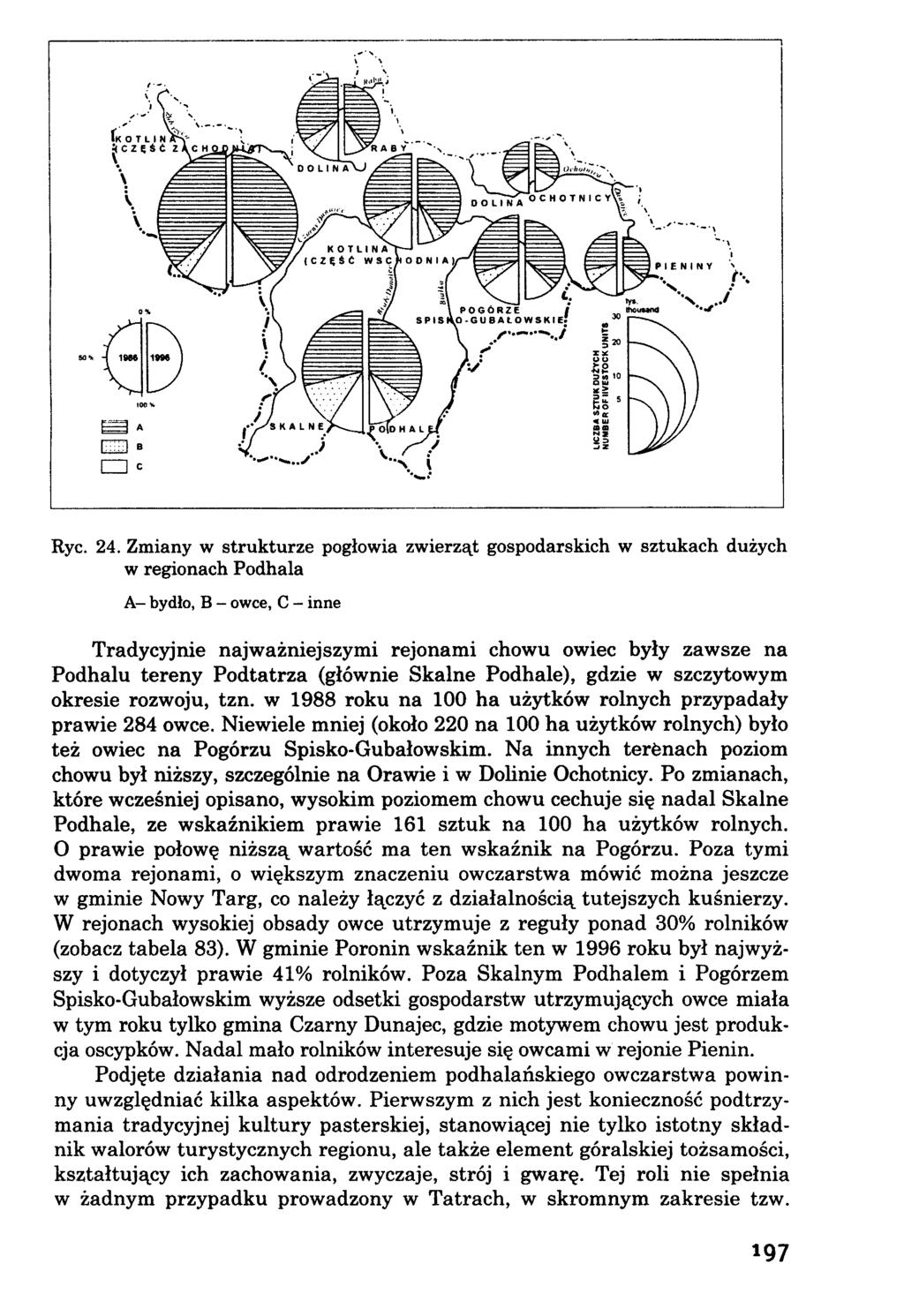 Ryc. 24.