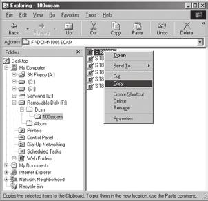 dwukrotnie pozycje [Removable Disk DCIM 100SSCAM].