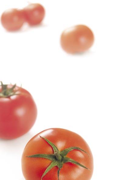 uprawy pod os onami Pomidor pod os onami problem preparat zalecana termin i rodzaj zabiegu karencja zwalczanie chorób choroby pochodzenia glebowego: zgorzel siewek, zgorzel podstawy odygi, zgnilizna