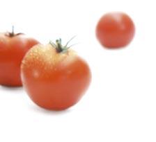 uprawy gruntowe pomidor Pomidor problem preparat zalecana termin i rodzaj zabiegu karencja zwalczanie chorób choroby pochodzenia glebowego: zgorzel siewek, zgorzel podstawy odygi, zgnilizna korzeni,